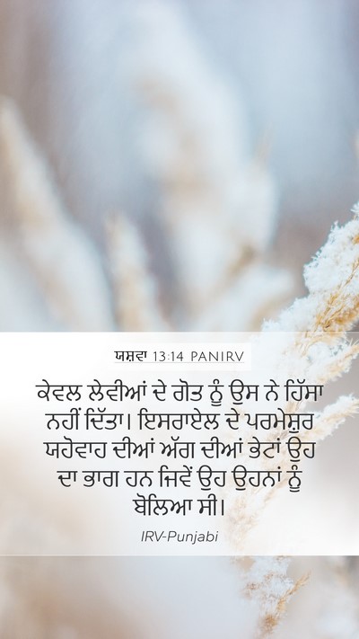 ਯਸ਼ਵਾ 13:14 PANIRV Bible Verse Image