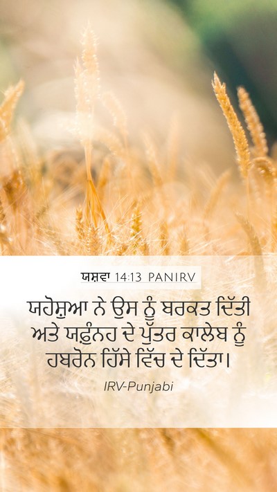 ਯਸ਼ਵਾ 14:13 PANIRV Bible Verse Image