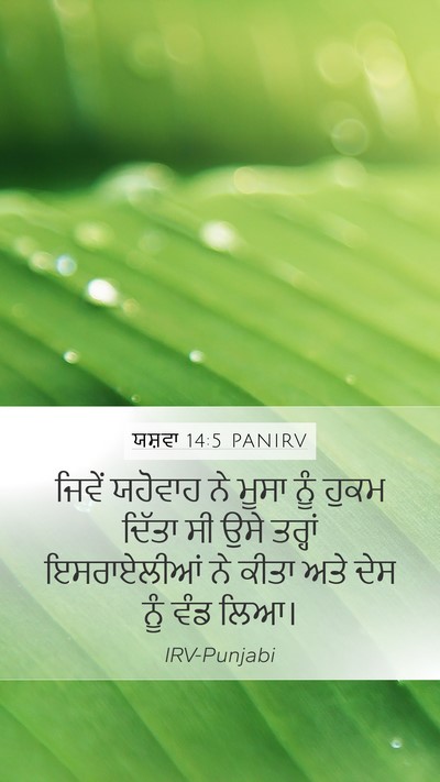 ਯਸ਼ਵਾ 14:5 PANIRV Mobile Phone Wallpaper - ਜਿਵੇਂ ਯਹੋਵਾਹ ਨੇ - Mobile Bible Verse Wallpaper