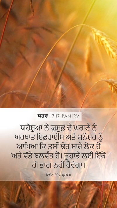 ਯਸ਼ਵਾ 17:17 PANIRV Bible Verse Image
