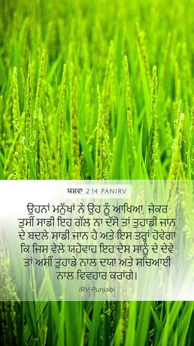ਯਸ਼ਵਾ 2:14 PANIRV Mobile Phone Wallpaper - ਉਹਨਾਂ ਮਨੁੱਖਾਂ ਨੇ - Mobile Bible Verse Wallpaper