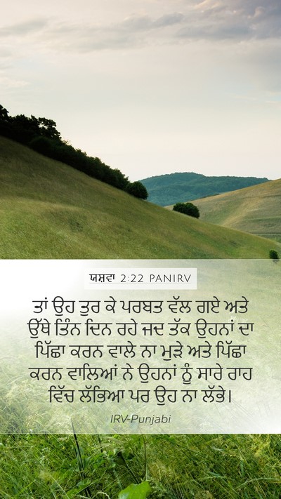 ਯਸ਼ਵਾ 2:22 PANIRV Mobile Phone Wallpaper - ਤਾਂ ਉਹ ਤੁਰ ਕੇ ਪਰਬਤ - Mobile Bible Verse Wallpaper