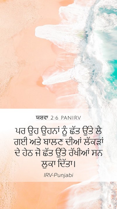 ਯਸ਼ਵਾ 2:6 PANIRV Bible Verse Image