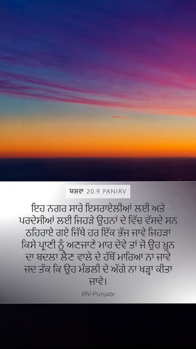 ਯਸ਼ਵਾ 20:9 PANIRV Bible Verse Image