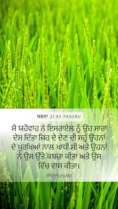 ਯਸ਼ਵਾ 21:43 PANIRV Bible Verse Image