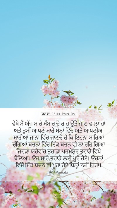 ਯਸ਼ਵਾ 23:14 PANIRV Bible Verse Image