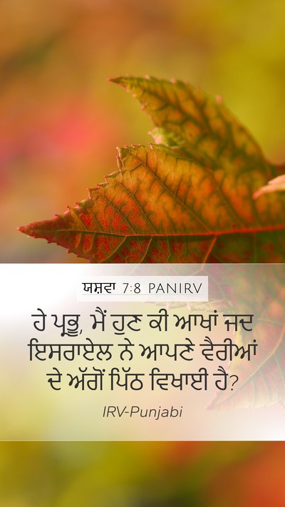 ਯਸ਼ਵਾ 7:8 PANIRV Mobile Phone Wallpaper - ਹੇ ਪ੍ਰਭੂ, ਮੈਂ ਹੁਣ - Mobile Bible Verse Wallpaper