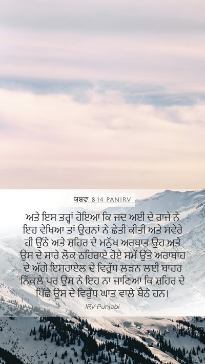ਯਸ਼ਵਾ 8:14 PANIRV Bible Verse Image