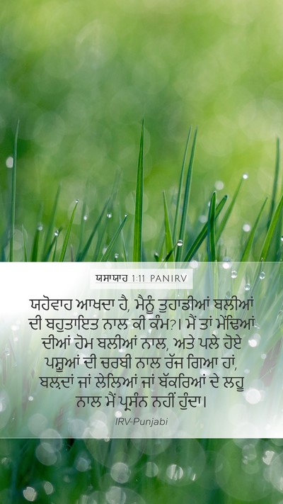 ਯਸਾਯਾਹ 1:11 PANIRV Bible Verse Image