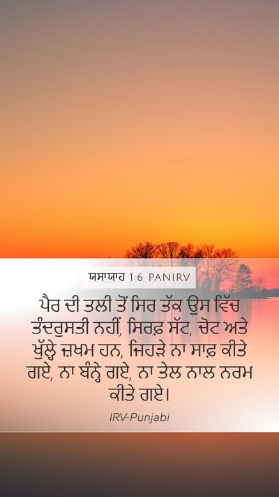 ਯਸਾਯਾਹ 1:6 PANIRV Bible Verse Image