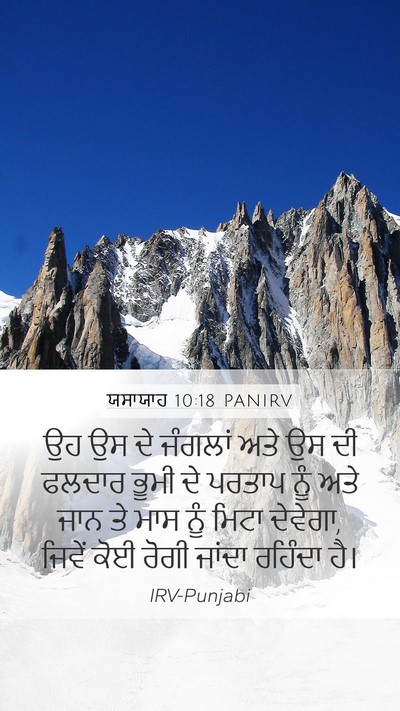 ਯਸਾਯਾਹ 10:18 PANIRV Bible Verse Image