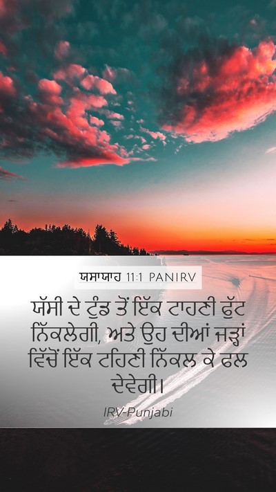 ਯਸਾਯਾਹ 11:1 PANIRV Bible Verse Image