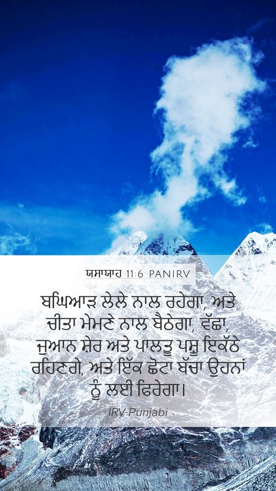 ਯਸਾਯਾਹ 11:6 PANIRV Bible Verse Image