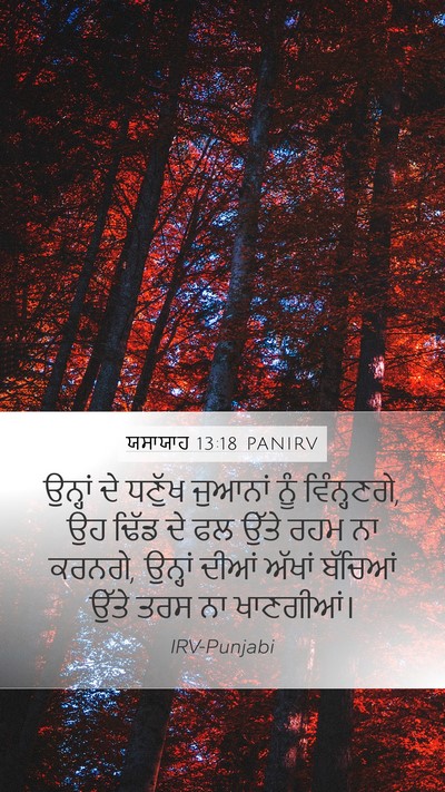 ਯਸਾਯਾਹ 13:18 PANIRV Bible Verse Image