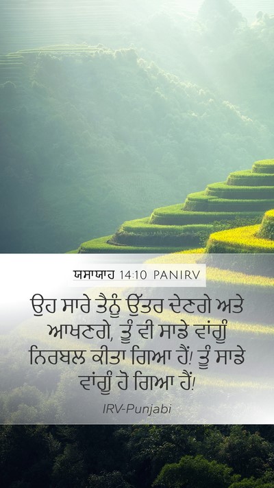 ਯਸਾਯਾਹ 14:10 PANIRV Bible Verse Image