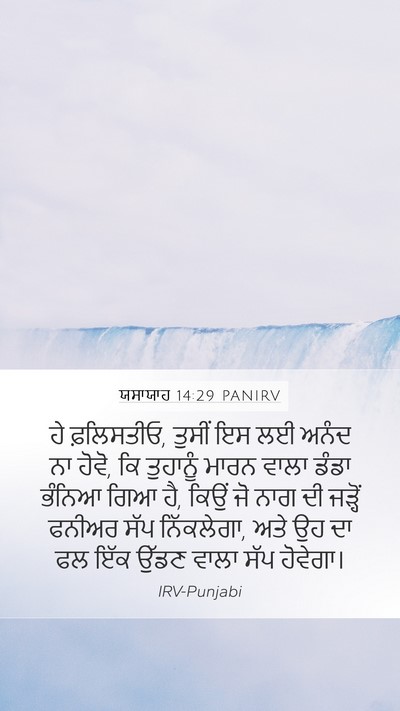 ਯਸਾਯਾਹ 14:29 PANIRV Bible Verse Image