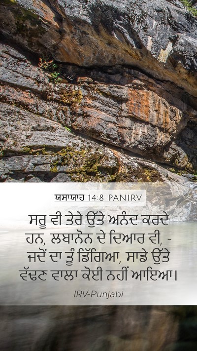 ਯਸਾਯਾਹ 14:8 PANIRV Bible Verse Image