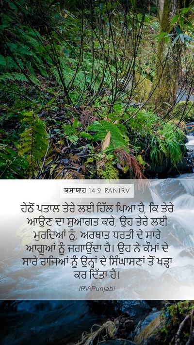 ਯਸਾਯਾਹ 14:9 PANIRV Bible Verse Image