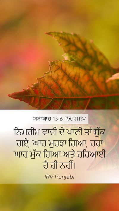 ਯਸਾਯਾਹ 15:6 PANIRV Bible Verse Image