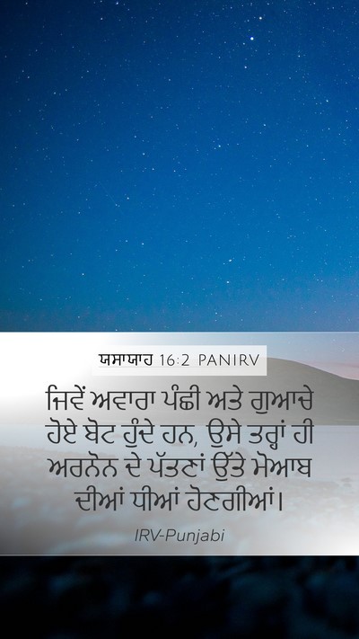 ਯਸਾਯਾਹ 16:2 PANIRV Bible Verse Image