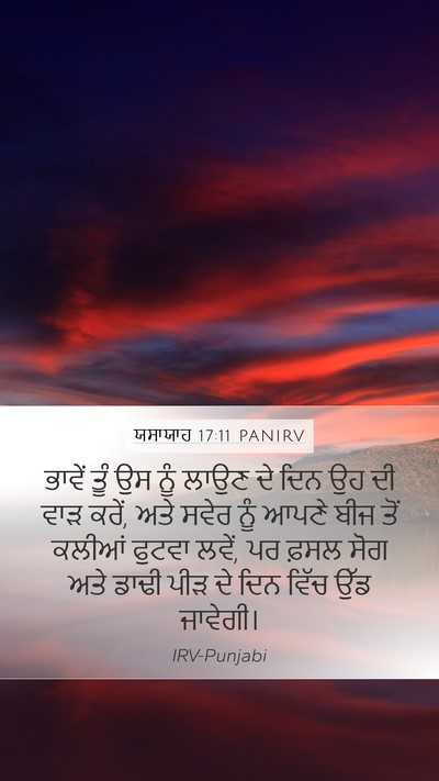 ਯਸਾਯਾਹ 17:11 PANIRV Bible Verse Image