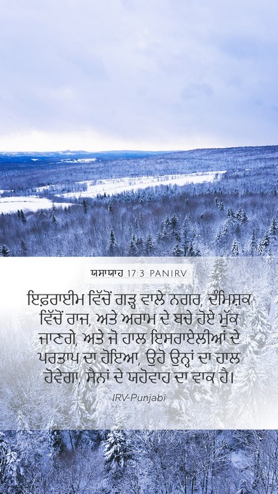 ਯਸਾਯਾਹ 17:3 PANIRV Bible Verse Image