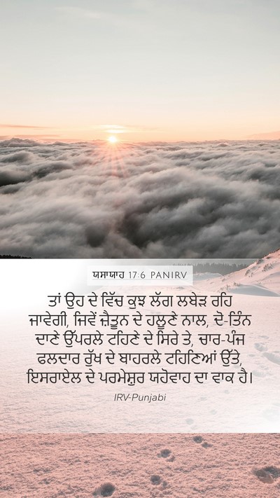 ਯਸਾਯਾਹ 17:6 PANIRV Mobile Phone Wallpaper - ਤਾਂ ਉਹ ਦੇ ਵਿੱਚ ਕੁਝ - Mobile Bible Verse Wallpaper
