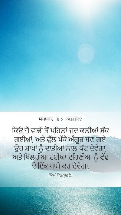 ਯਸਾਯਾਹ 18:5 PANIRV Bible Verse Image