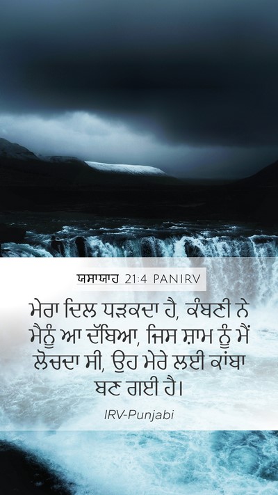 ਯਸਾਯਾਹ 21:4 PANIRV Bible Verse Image