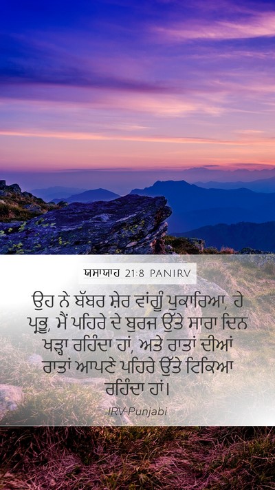 ਯਸਾਯਾਹ 21:8 PANIRV Bible Verse Image