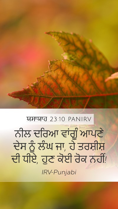 ਯਸਾਯਾਹ 23:10 PANIRV Bible Verse Image