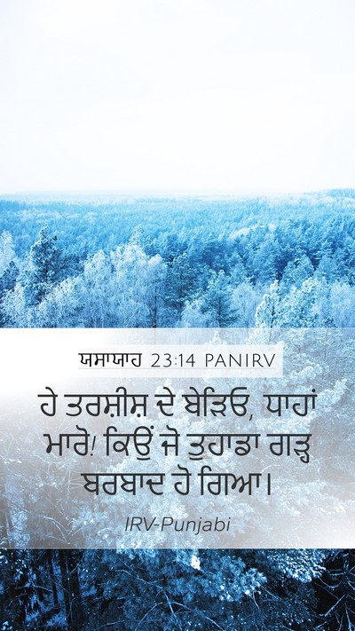 ਯਸਾਯਾਹ 23:14 PANIRV Bible Verse Image