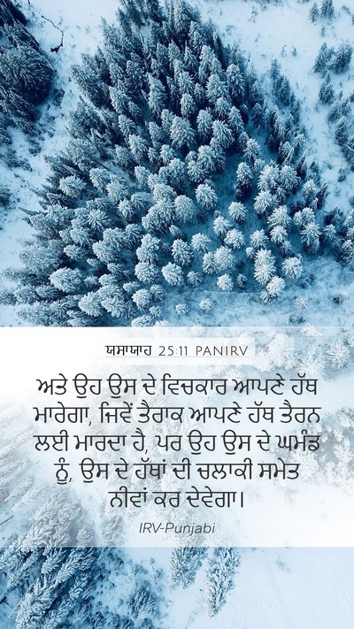 ਯਸਾਯਾਹ 25:11 PANIRV Bible Verse Image