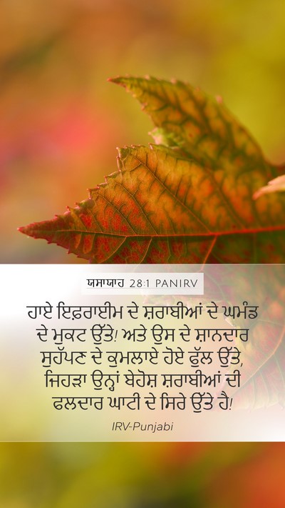 ਯਸਾਯਾਹ 28:1 PANIRV Bible Verse Image