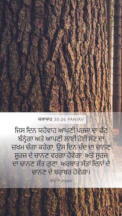 ਯਸਾਯਾਹ 30:26 PANIRV Bible Verse Image