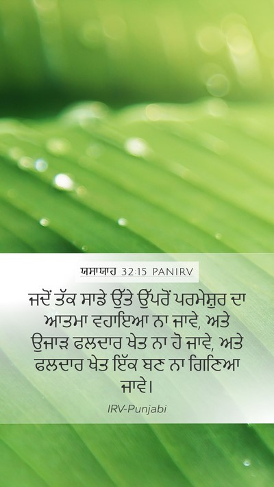 ਯਸਾਯਾਹ 32:15 PANIRV Bible Verse Image