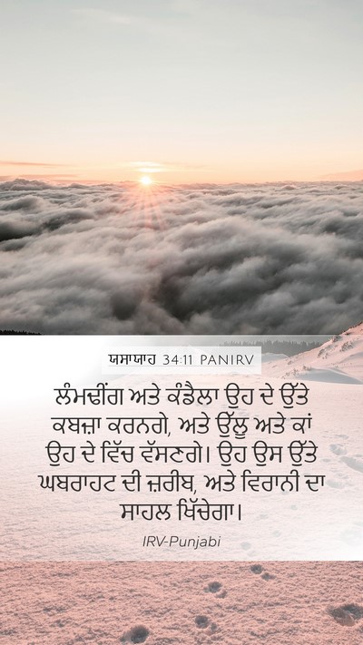 ਯਸਾਯਾਹ 34:11 PANIRV Bible Verse Image