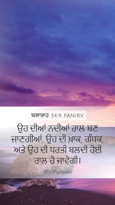 ਯਸਾਯਾਹ 34:9 PANIRV Bible Verse Image