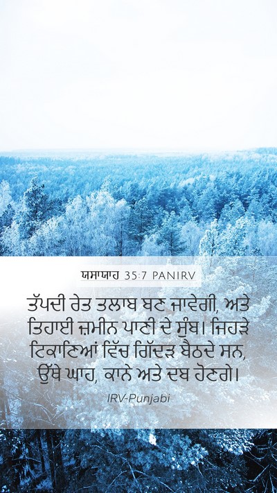 ਯਸਾਯਾਹ 35:7 PANIRV Bible Verse Image