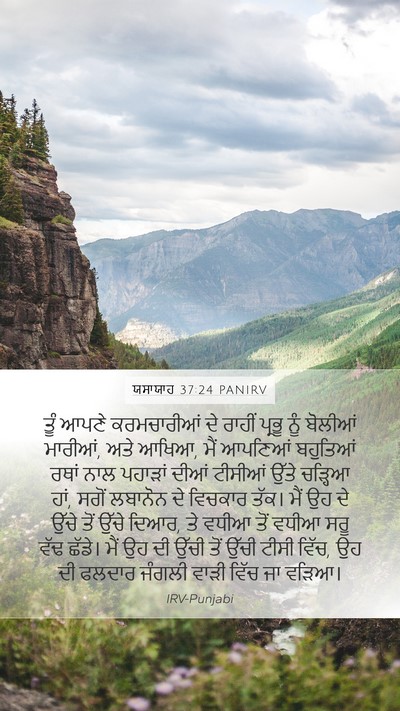 ਯਸਾਯਾਹ 37:24 PANIRV Bible Verse Image