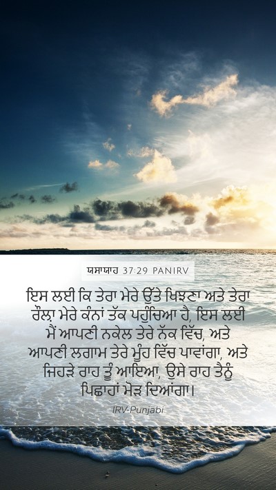 ਯਸਾਯਾਹ 37:29 PANIRV Bible Verse Image