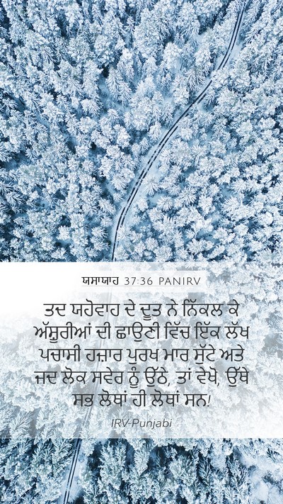 ਯਸਾਯਾਹ 37:36 PANIRV Bible Verse Image