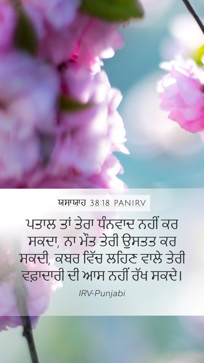 ਯਸਾਯਾਹ 38:18 PANIRV Bible Verse Image