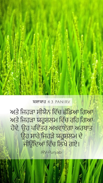 ਯਸਾਯਾਹ 4:3 PANIRV Bible Verse Image