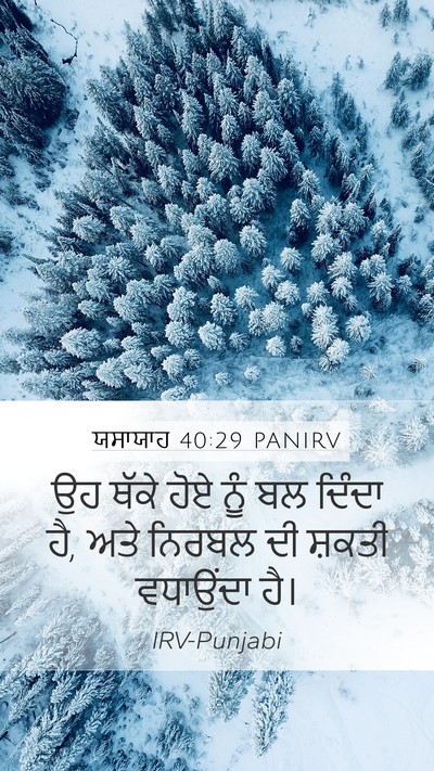 ਯਸਾਯਾਹ 40:29 PANIRV Bible Verse Image