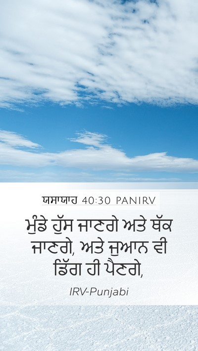 ਯਸਾਯਾਹ 40:30 PANIRV Bible Verse Image