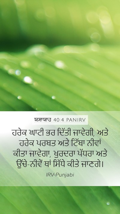 ਯਸਾਯਾਹ 40:4 PANIRV Bible Verse Image