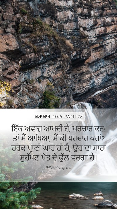 ਯਸਾਯਾਹ 40:6 PANIRV Mobile Phone Wallpaper - ਇੱਕ ਅਵਾਜ਼ ਆਖਦੀ ਹੈ, - Mobile Bible Verse Wallpaper