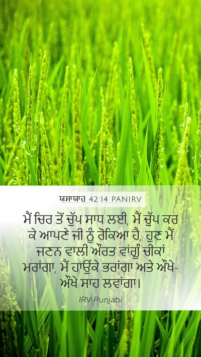 ਯਸਾਯਾਹ 42:14 PANIRV Bible Verse Image