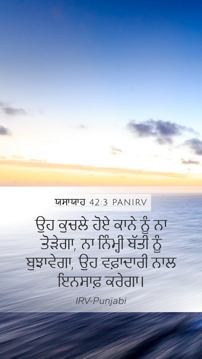 ਯਸਾਯਾਹ 42:3 PANIRV Bible Verse Image